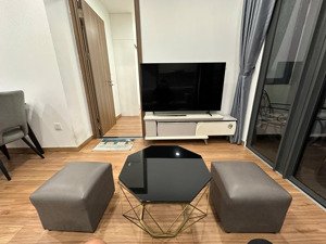 cho thuê cc eco green sài gòn, 15 triệu vnd, 60m2, 2pn, 2wc tại nguyễn văn linh, q7, hcm