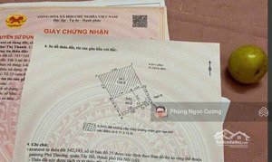 chính chủ bán đất phú thượng: 50m * 6m mt. gần phở hồ lợi, cafe số đỏ, chợ phú gia.