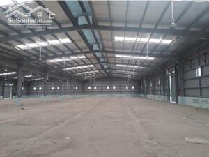 CHO THUÊ KHO XƯỞNG TẠI BẾN LỨC, LONG AN 13.000M2- PCCC NGHIỆM THU- PALANG CẨU TRỤC 20 TẤN