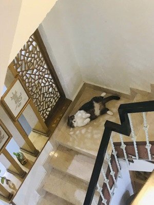 bán gấp xuất cảnh - nhà hẻm huỳnh văn bánh - nhà 4 tầng 76.8m² - giá 12 tỷ