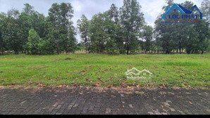 bán đất skk kcn long thành 4,5ha giá 248 tỷ mặt tiền đường chính số 1 kcn