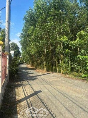 bán 7.000m² đất ở 2 mặt tiền tại long phước cách quốc lộ 51 chỉ 1 sẹc kế bên sân bay long thành