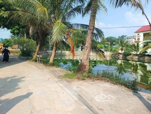 nhà em cuối năm cần vốn nên cần bán gấp mảnh đất ở sen trì hơn 3tỉ