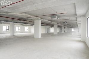  Cập nhật VĂN PHÒNG CHO THUÊ tại Đà Nẵng – GIÁ TỐT