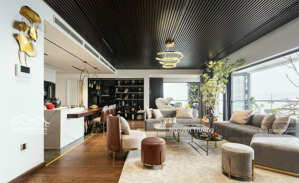 chính chủ bán penhouse 190m2, 4pn 4vs, full đồ đẹp, chung cư iris garden. giá chỉ 13.5 tỷ