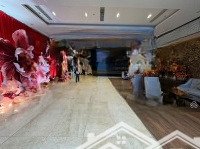 chính chủ cần cho thuê căn hộ 2n 85m² toà n03t2 - taseco, giá 18 triệu