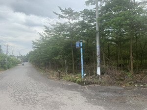 đất đường độc lập 1.55 tỷ, gần khu công nghiệp, xây dựng tự do