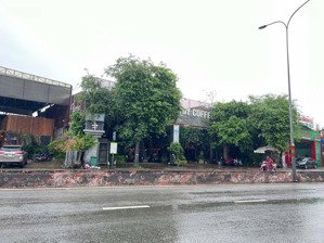 hot và duy nhất mặt tiền lê trọng tấn 30m x 50m cn 1500m2 giá 125 tỷ còn tl