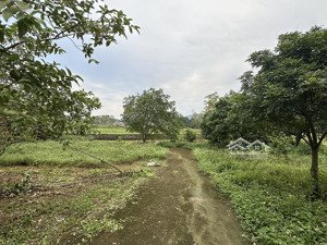 bán lô siêu phẩm trên đất có ao, view cánh đồng tại cư yên, lương sơn, hòa bình