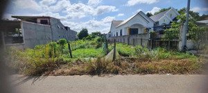 đất rẻ bán gần chợ mt đường trừ văn thố bàu bàng sổ hồng riêng. diện tích 500m2