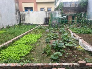 hiếm đất vuông 46.8m2 thôn đông bầu thiên lộc, đông anh 3.8 tỷ