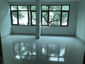 cho thuê văn phòng mới xây, 47m2/tầng, chính chủ tại phố nguyễn chí thanh, đống đa, hà nội.