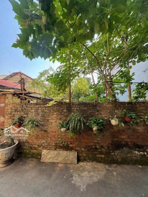 xây gì cũng hot !!! bán lô đất siêu đẹp lê trọng tấn - quang trung hà đông , dt 215m2 , mt 10m