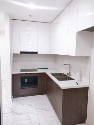 cho thuê căn hộ sunshine sky city.2pn .2wc .diện tích 84m