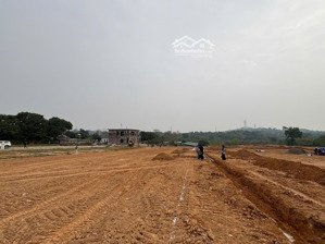 nhận booking f0 từ chủ đầu tư đất hòa thạch, dt 100m2, ô tô tránh full thổ cư, giá đ.tư từ 2xtr/m2