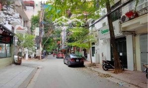 bán đất ba đình (cũ), phố hoàng hoa thám , ngõ thông , ô tô tránh nhau , kinh doanh , giá ngõ 3 gác