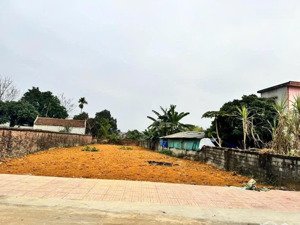 hơn 500m đất nằm giữ trung tâm phú cát.thích hợp làm nhà vườn nghỉ dưỡng