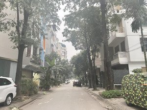 đất phân lô man bồi phú lãm| 75m2, sổ đỏ đẹp giá 220 triệu/m2