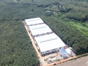 bán xưởng long nguyên bàu bàng đất 20.000m2 diện tích xưởng 12.000m2, giá 95 tỷ