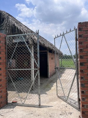 cho thuê 950m2 đất có nhà chòi giá rẻ