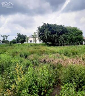  CHÍNH CHỦ BÁN GẤP LÔ ĐẤT ĐẸP TẠI BẾN LỨC – GẦN QUỐC LỘ 1A, GIÁ CỰC TỐT CHO NHÀ ĐẦU TƯ 