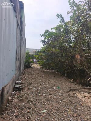 Đất thổ cư 5×32 đường Đoàn Nguyễn Tuấn (gần QL1A-Nguyễn Văn Linh) 1tỷ990