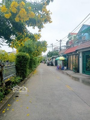 mặt tiền đường hoa đẹp nhất p thạnh lộc, q12, ngang 6m cực hiếm. (6x25m)