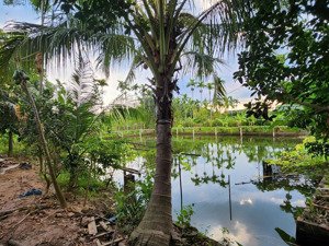 bán trang trại nghỉ dưỡng 3.753m2 cách ql 32 chỉ 3km, chợ gạch phúc thọ hn cũ