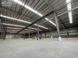CHO THUÊ KHO XƯỞNG TÂN KIÊN, BÌNH CHÁNH 3000M2, 5000M2, 8000M2- ĐƯỜNG CONT 24H