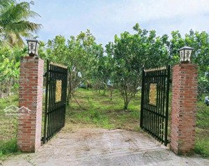 bán đất tại minh hưng - chơn thành giá chỉ với 452 triệu, 2157m2