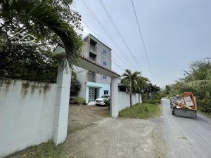 bán gấp trang trại nhà yến cách tphcm 50km, gò công tây, tiền giang, 2,65 tỷ, 600m2