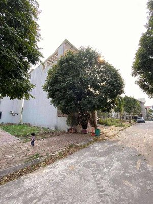 cần bán lô góc tại dg02 trung tâm thị trấn quốc oai - diện tích 100m. tiền = hậu = 5m