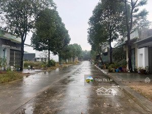 chủ gửi lô đất tại khu i mỹ phước 3 đường ni13 nối liền đường nhựa ne2 dt150m2 sổ sẵn full thổ shr