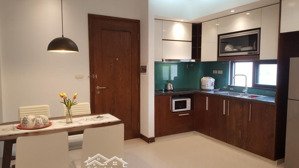 cho thuê chung cư mini hạng sang chính chủ chỉ từ 5tr đến 10 tr/th