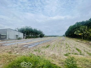 chính chủ cần bán đất 13000m2 - có thổ cư. đất nở hậu đẹp. xã phước minh, dương minh châu, tây ninh
