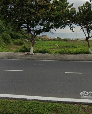 bán đất mt đường biển phạm văn đồng đối diện bãi tắm và hòn chồng dt 270m2 rộng 7m 240 triệu/m2