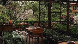 cho thuê mặt tiền xuân thủy q2 kd cafe nhà hàng