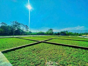 vào việc nhà đầu tư vip cho phân khu 29 lô góc - giá cực sốc.