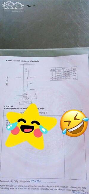 Chính Chủ Bán 319,3m2 Đất Ở Mặt tiền đường 610, Thôn Tân Thọ, Xã Duy Châu, Huyện Duy Xuyên, Quảng Nam