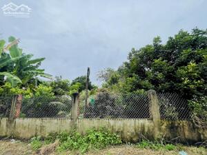 CHÍNH CHỦ CẦN SANG LẠI 2460M2 ĐẤT VƯỜN CẠNH CHỢ DÂN CƯ HH GIÁ 360 TRIỆU