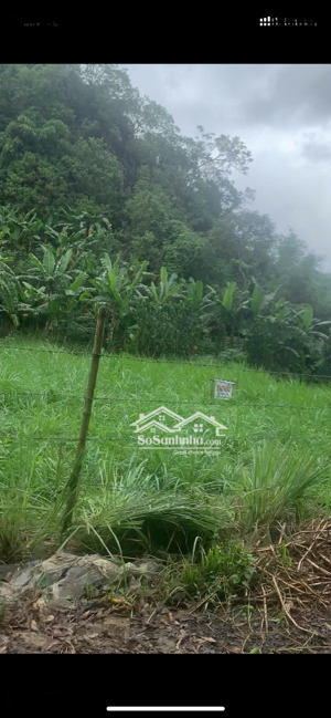 bán đất thạch quảng, 240 triệu, 147 m2, giá siêu hời, uy tín, thanh hóa