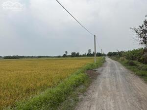 Bán đất xã Lê Minh Xuân, Bình Chánh. Dt: 30.000m2