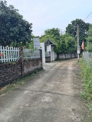 bán 595m2 hoà thạch _ quốc oai, ô tô vào tận đất