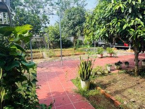 bán đất 1000m2 tại xã long phước, 3,8 tỷ, view đẹp, pháp lý đầy đủ