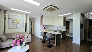 cho thuê căn 87,5m the nelson private presidrnces 29 láng hạ, đống đa