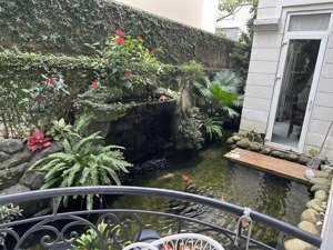 cho thuê nhà mặt phố giá rẻ, đến ở luôn