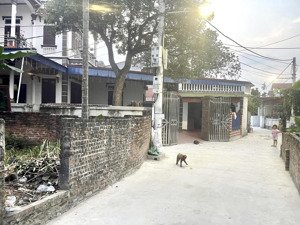 lô đất đẹp 121m tiến thịnh mê linh hà nội