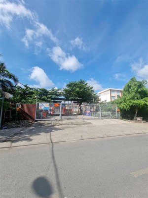 mặt tiền chánh hưng bình hưng, bình chánh lô 415m² đất ở, giá chỉ 110 tỷ