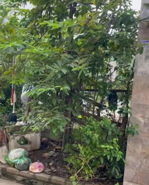 Bán đất 100m2 Cái Tắt An Đồng An Dương Hải Phòng