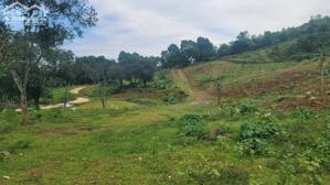  SIÊU PHẨM 4,4HA VIEW ĐỒI CỰC ĐẸP – LƯƠNG SƠN, HÒA BÌNH